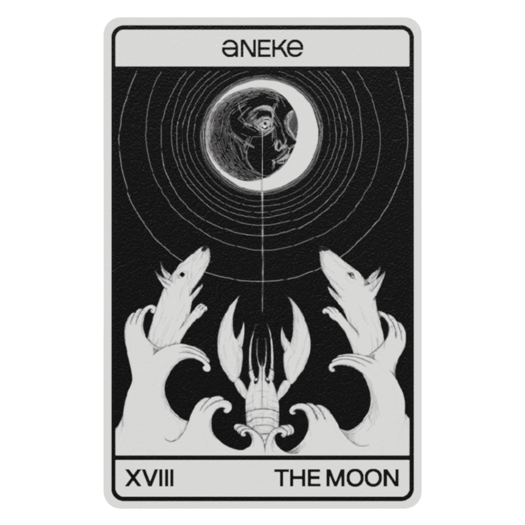 Tarot Card black and white named TheMoon